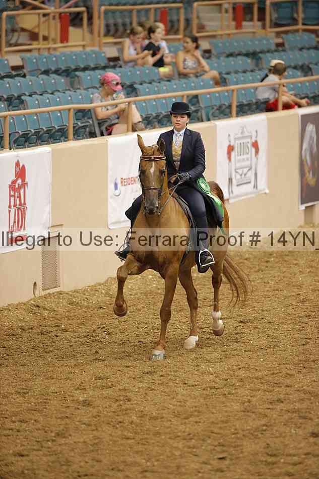 Proof 14yn_08018