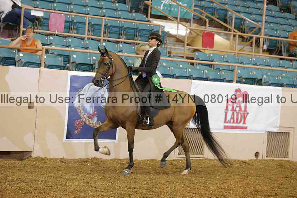 Proof 14yn_08019
