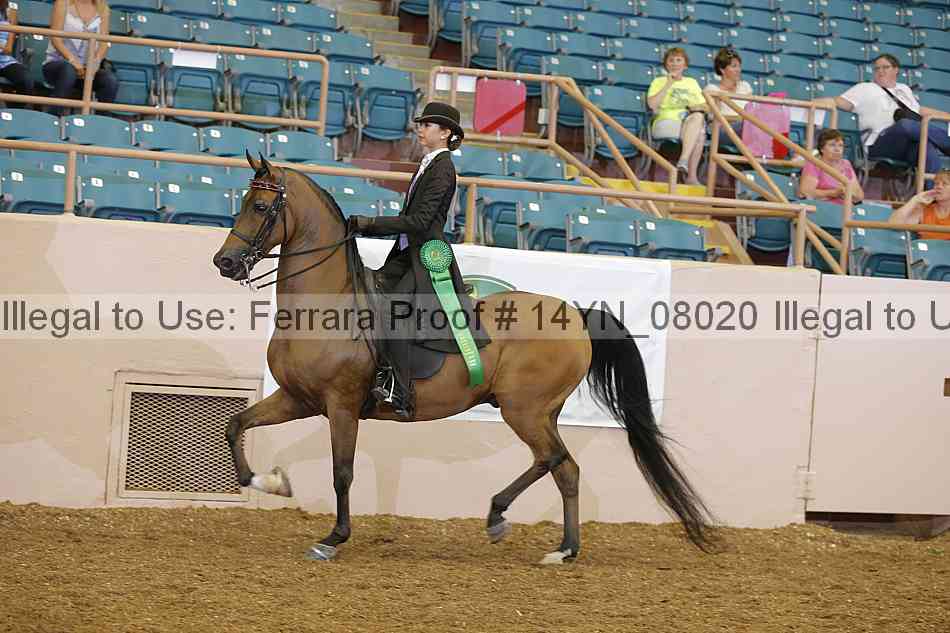 Proof 14yn_08020