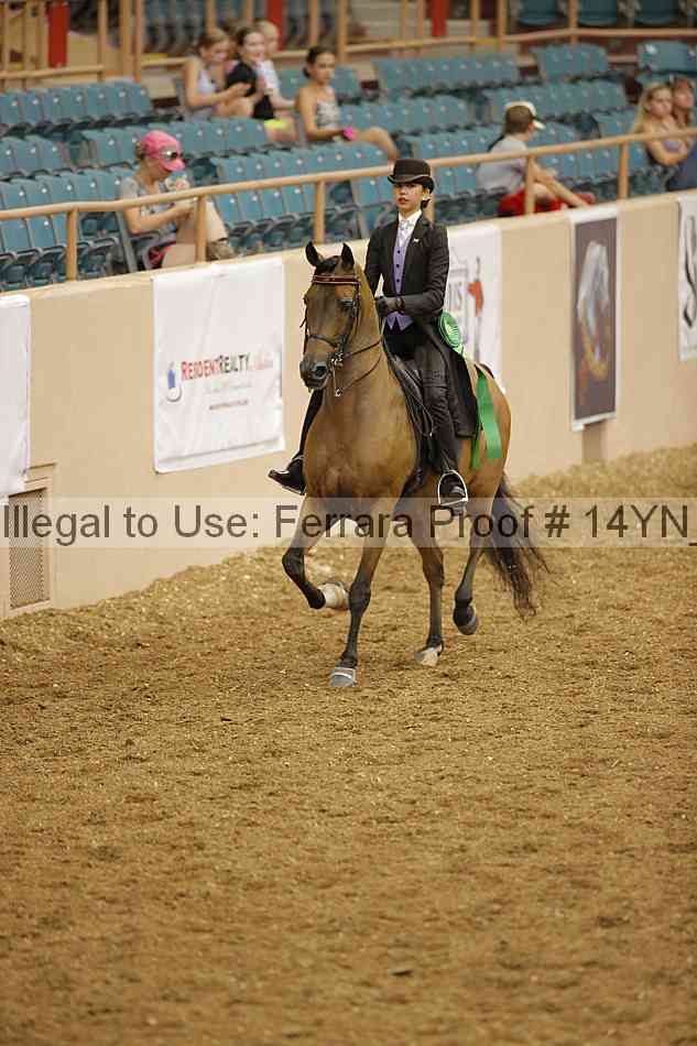 Proof 14yn_08021