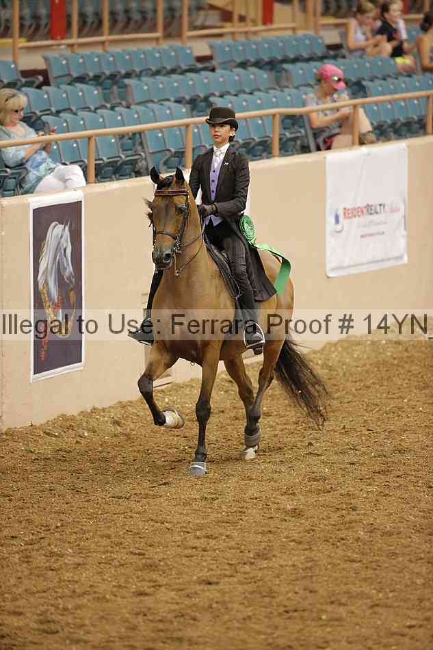 Proof 14yn_08022