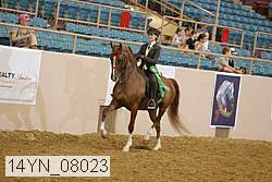 14yn_08023 proof
