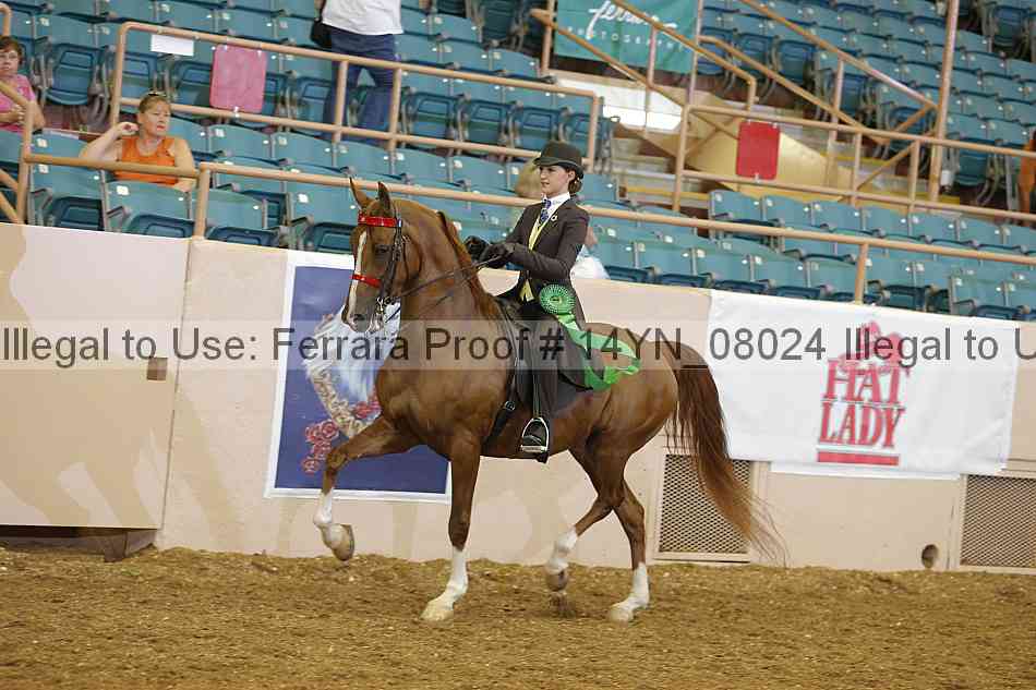 Proof 14yn_08024