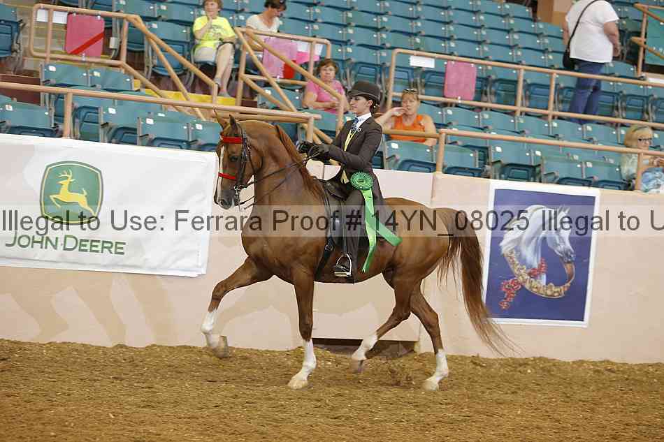 Proof 14yn_08025