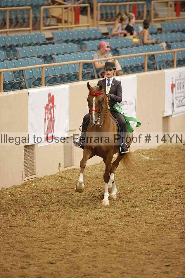 Proof 14yn_08026
