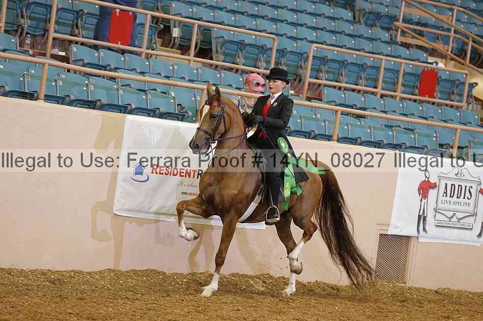Proof 14yn_08027