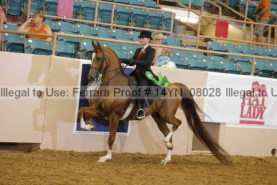 Proof 14yn_08028