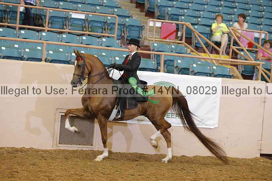 Proof 14yn_08029