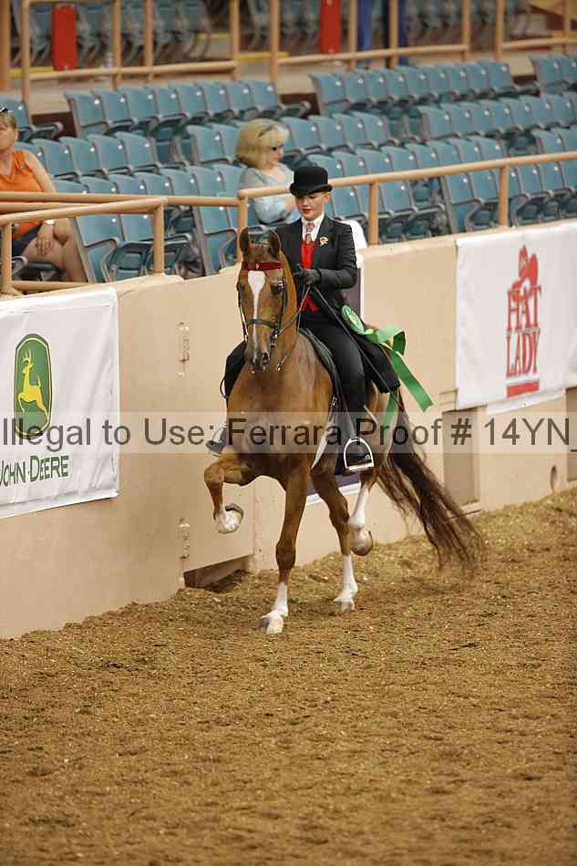 Proof 14yn_08030