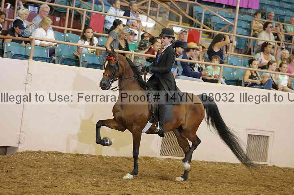 Proof 14yn_08032