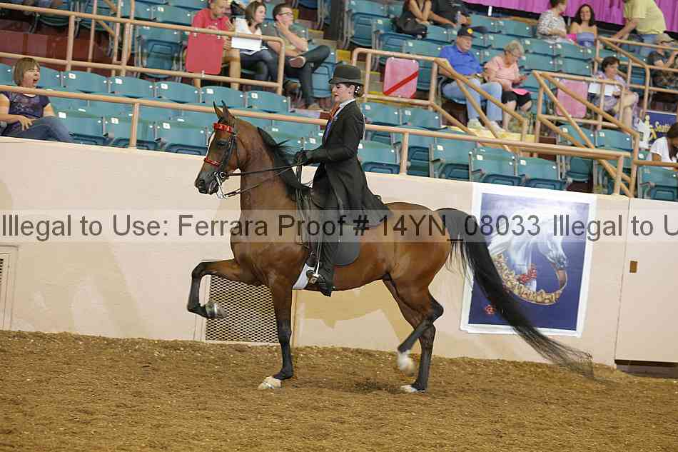 Proof 14yn_08033