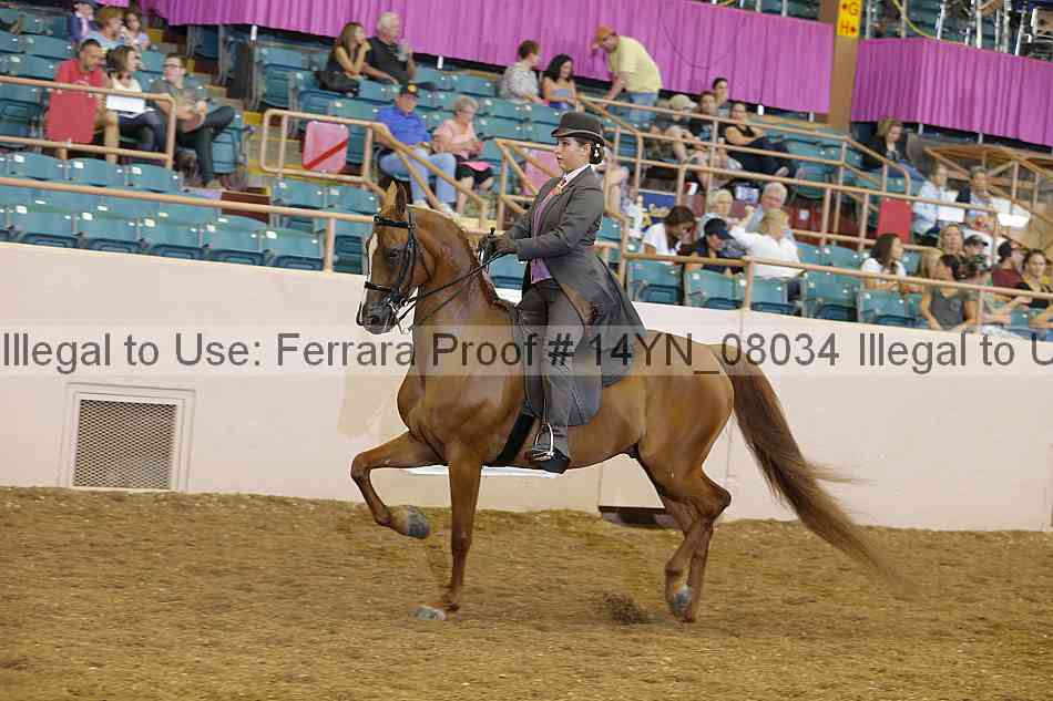 Proof 14yn_08034