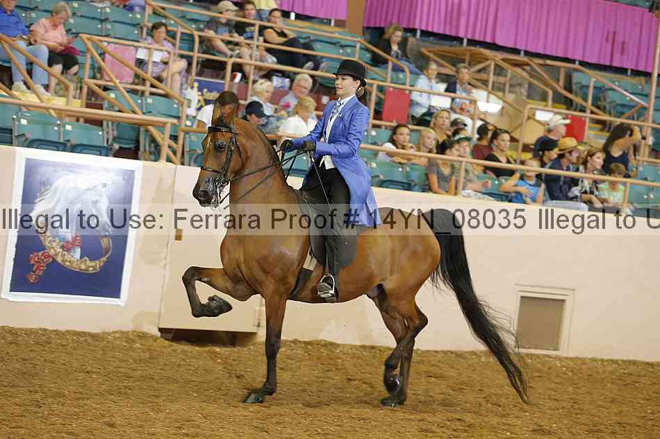Proof 14yn_08035