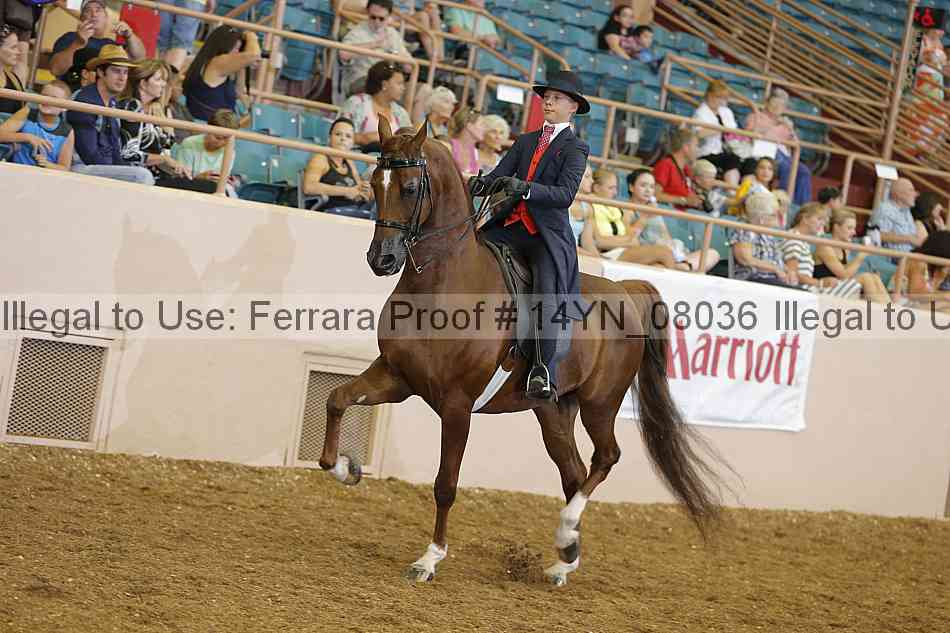 Proof 14yn_08036