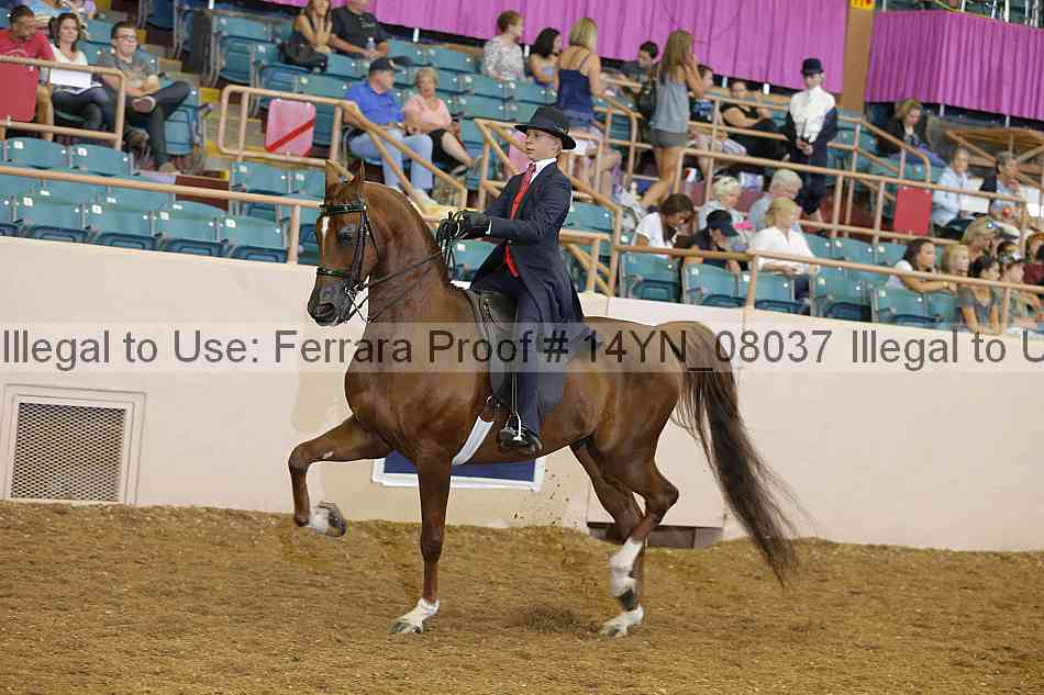 Proof 14yn_08037
