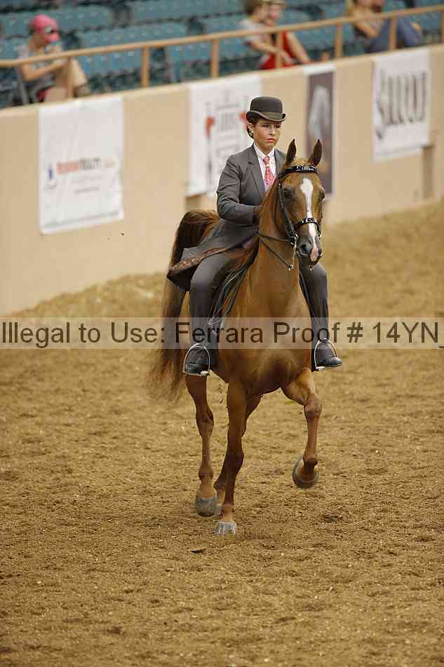 Proof 14yn_08038
