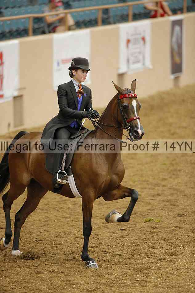 Proof 14yn_08039