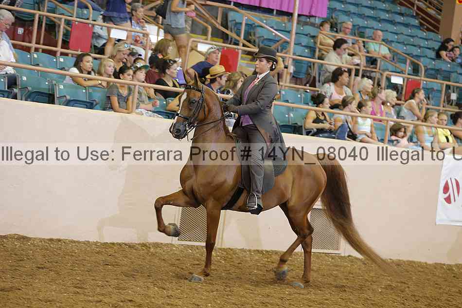 Proof 14yn_08040