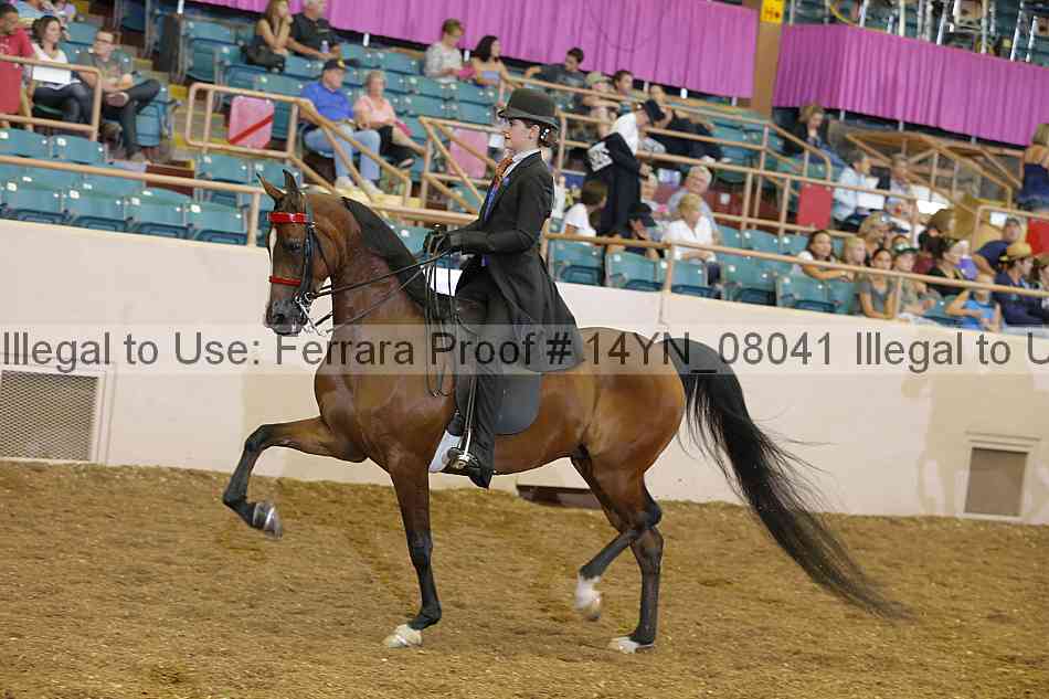 Proof 14yn_08041