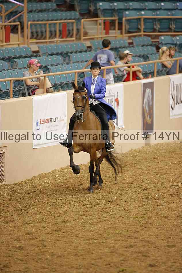 Proof 14yn_08042