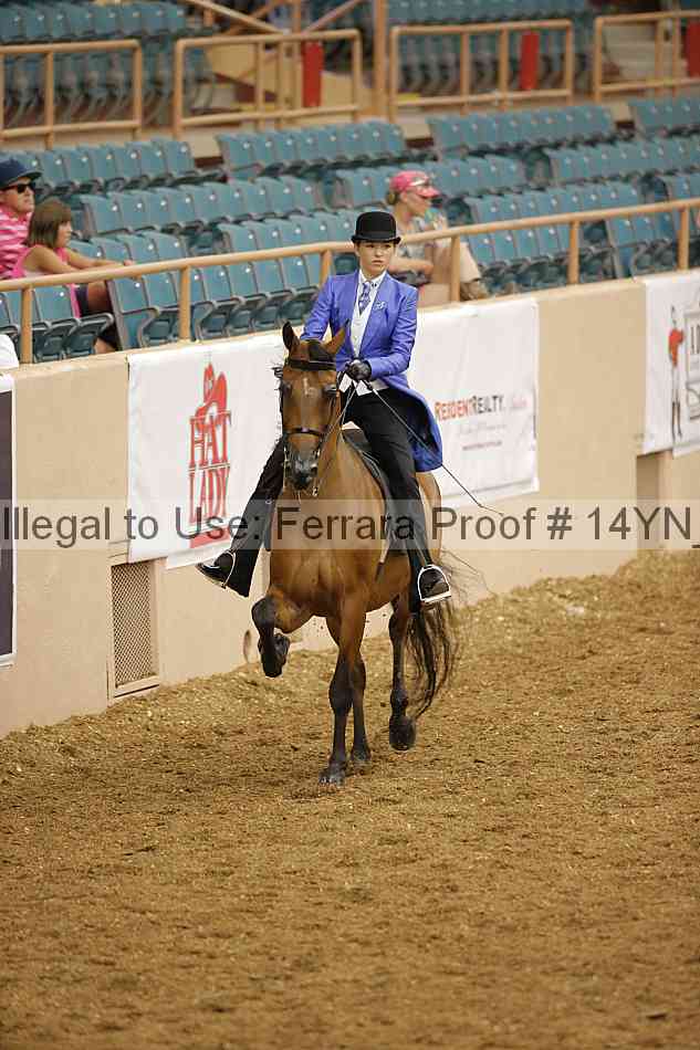 Proof 14yn_08043