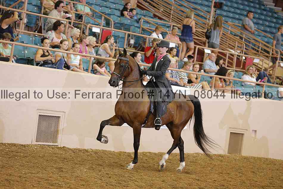 Proof 14yn_08044