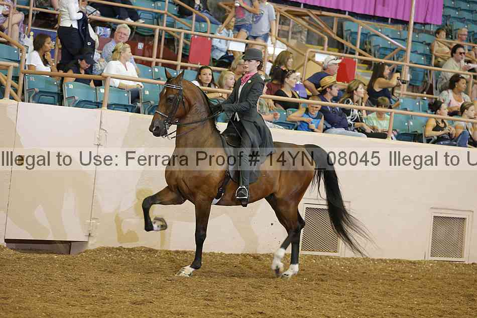 Proof 14yn_08045
