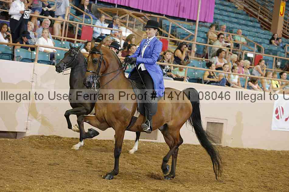 Proof 14yn_08046