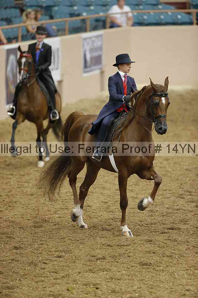 Proof 14yn_08047