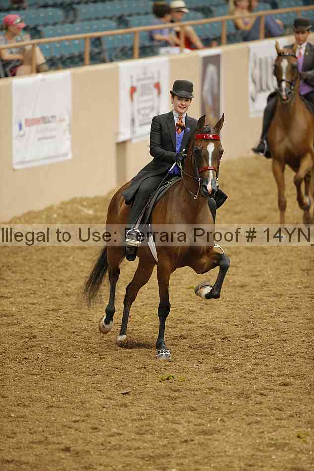Proof 14yn_08048