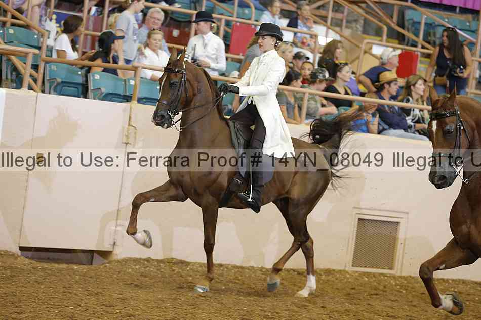 Proof 14yn_08049