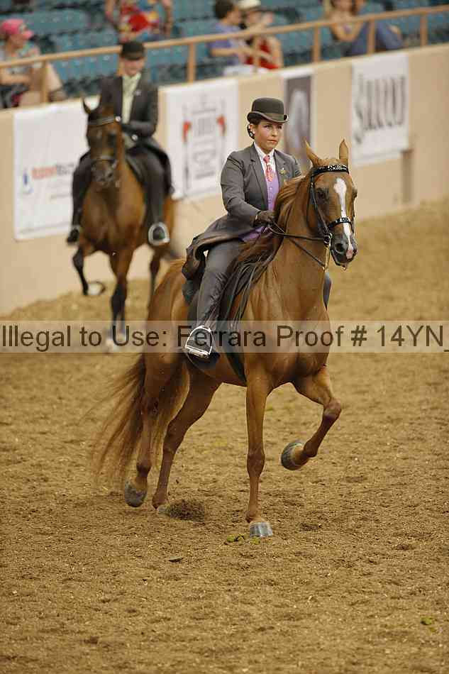Proof 14yn_08050