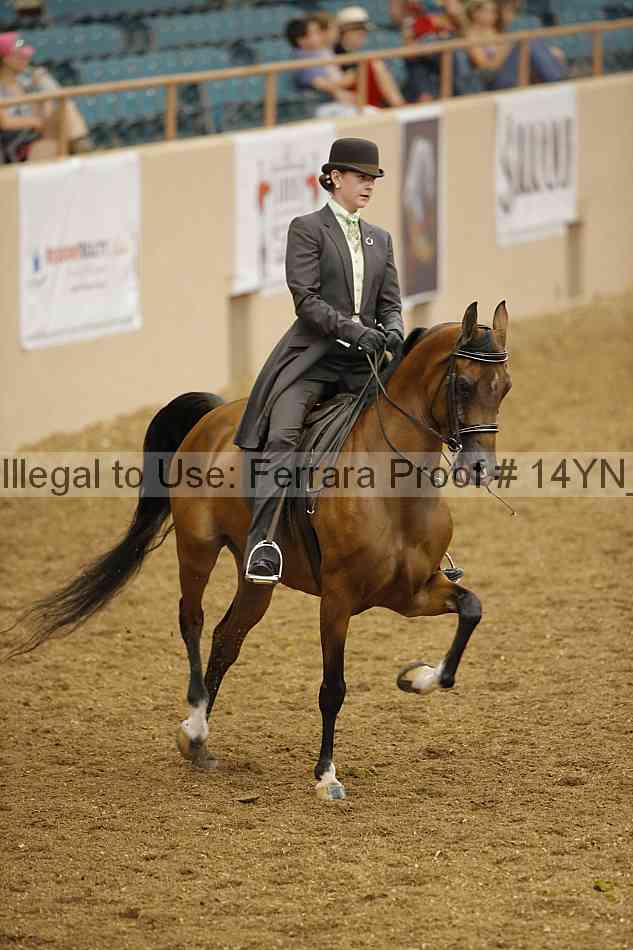 Proof 14yn_08051