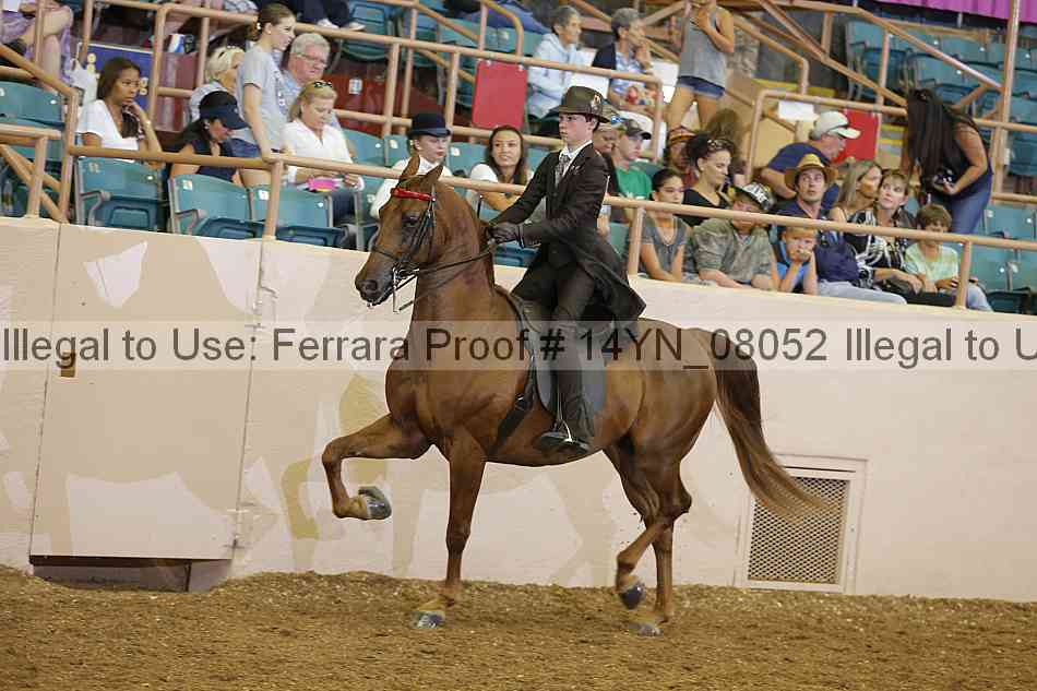Proof 14yn_08052
