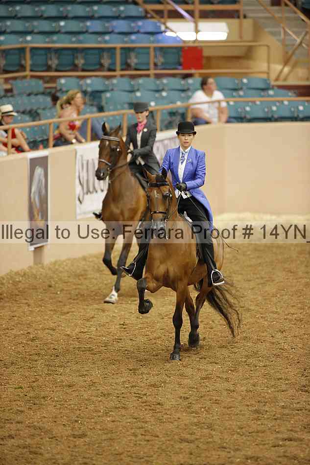 Proof 14yn_08053