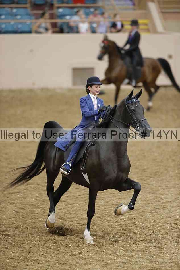 Proof 14yn_08054