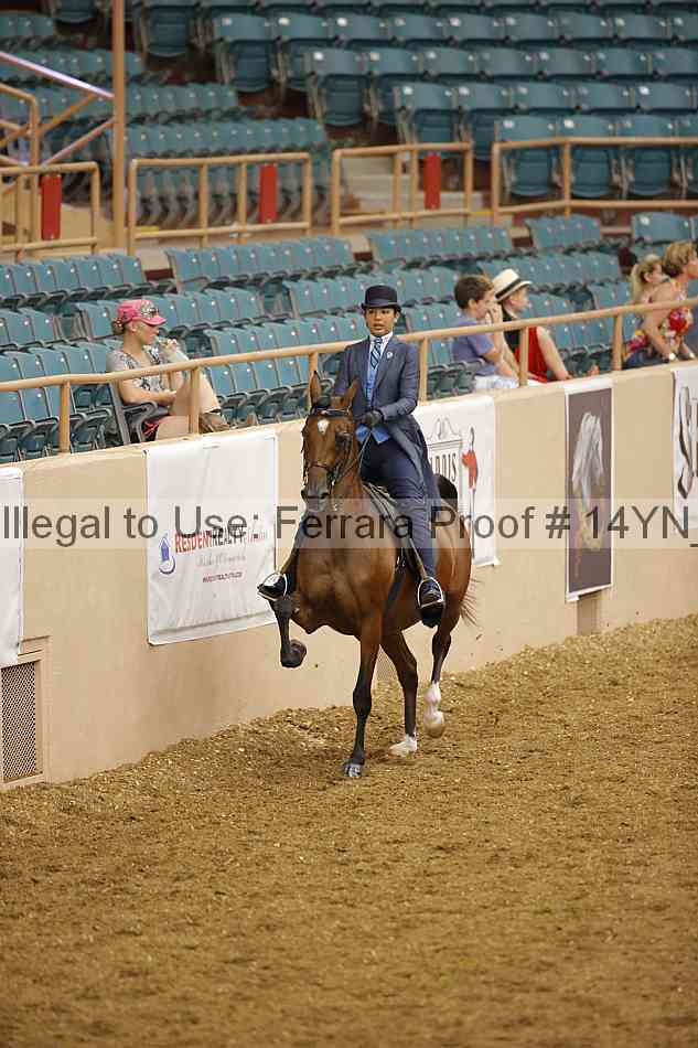 Proof 14yn_08055