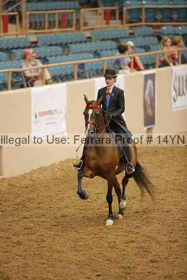 Proof 14yn_08056