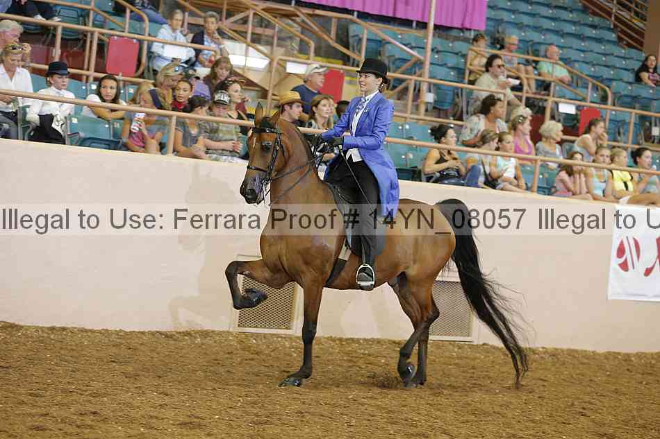 Proof 14yn_08057
