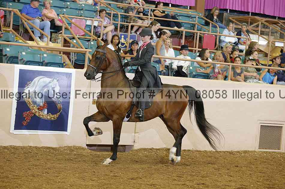 Proof 14yn_08058
