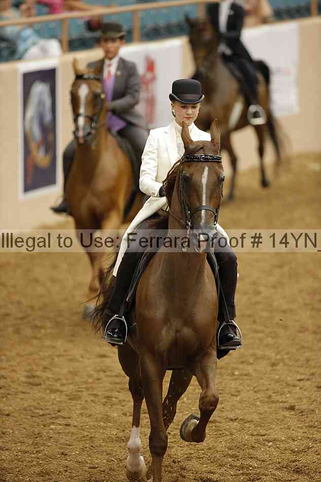Proof 14yn_08059