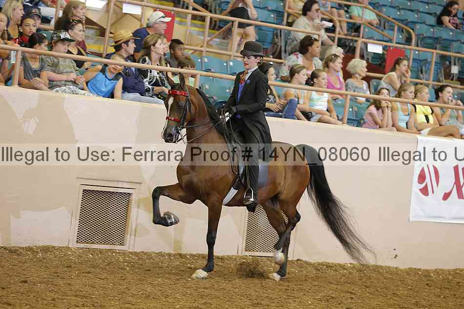Proof 14yn_08060