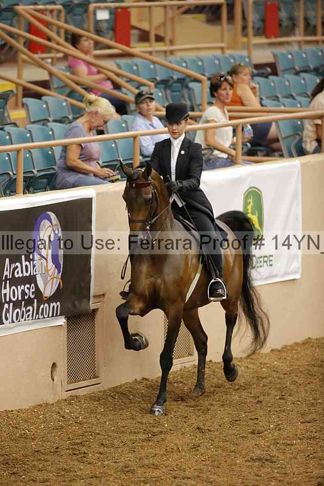 Proof 14yn_08061
