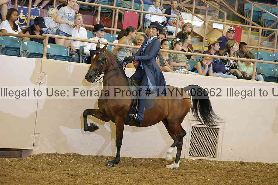 Proof 14yn_08062