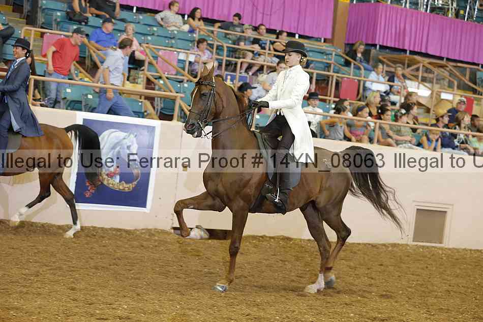 Proof 14yn_08063