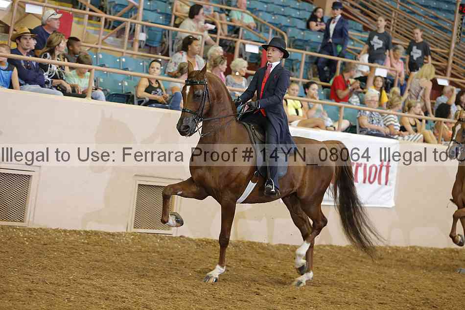 Proof 14yn_08064