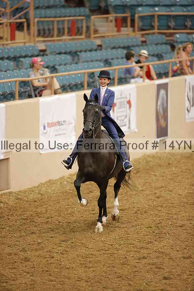Proof 14yn_08065