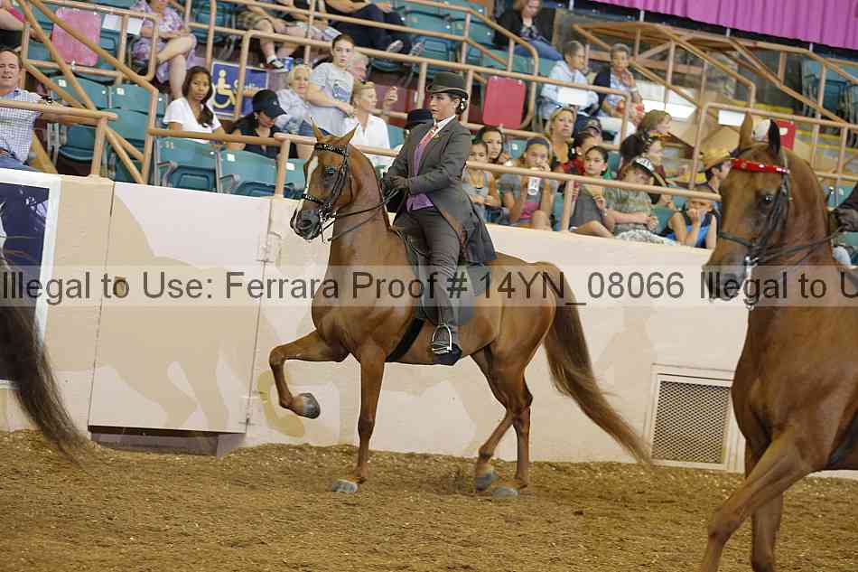 Proof 14yn_08066