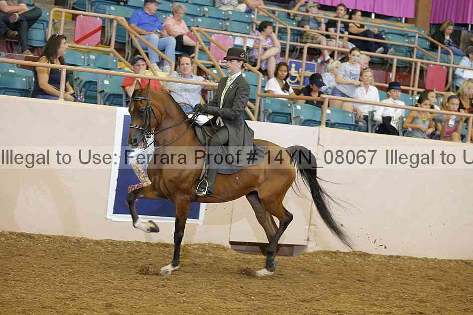 Proof 14yn_08067