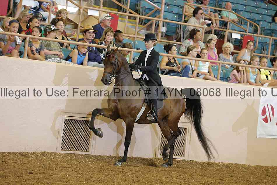 Proof 14yn_08068